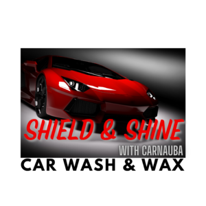 shield and shine with carnauba car wash and wax 1 gallon